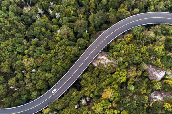 Best Scenic Drives to Take with Your Family