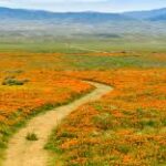 How to Plan a Budget-Friendly Road Trip How to Plan a Budget-Friendly Road Trip