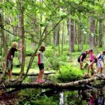 How to Stay Safe While Exploring the Great Outdoors How to Stay Safe While Exploring the Great Outdoors