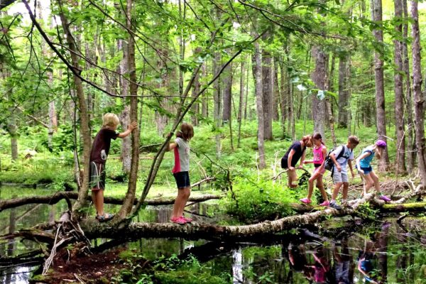How to Stay Safe While Exploring the Great Outdoors