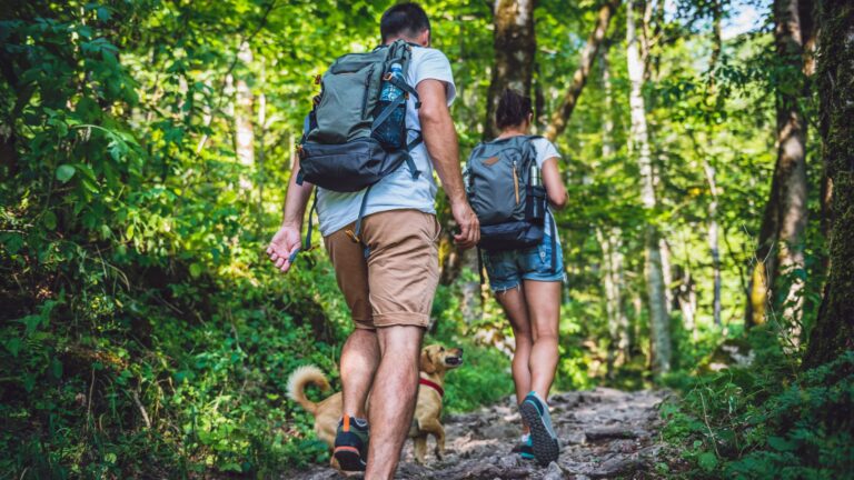 Outdoor Recreation for Mental Health Why It’s Important