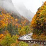 Scenic Drives for Fall Foliage Viewing