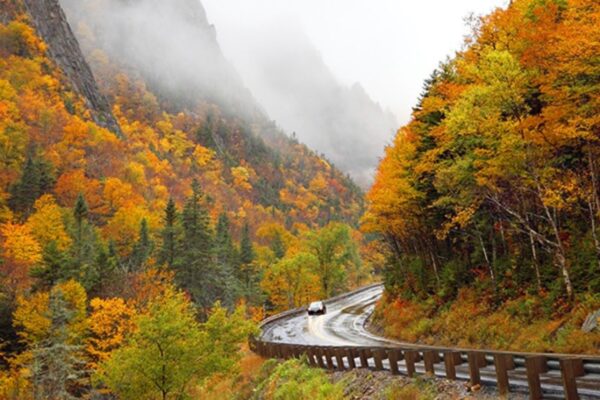 Scenic Drives for Fall Foliage Viewing