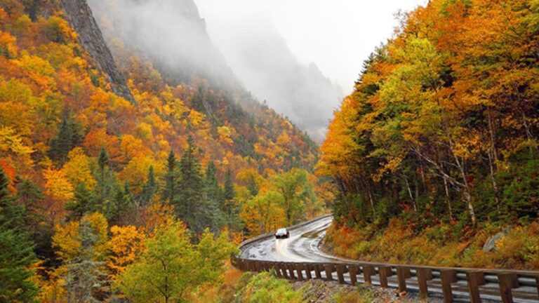 Scenic Drives for Fall Foliage Viewing