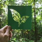 Sustainable Outdoor Recreation: Protecting Our Natural Spaces