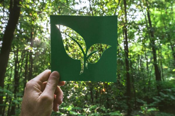 Sustainable Outdoor Recreation: Protecting Our Natural Spaces
