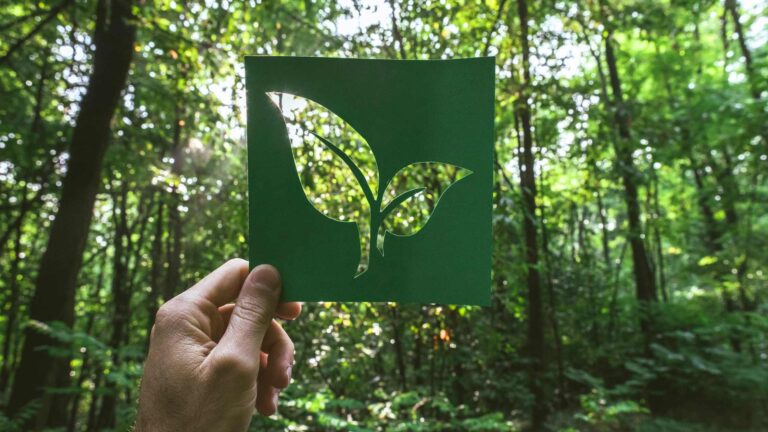 Sustainable Outdoor Recreation: Protecting Our Natural Spaces