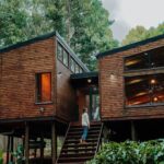 Top Cabin Destinations for Solo Travelers