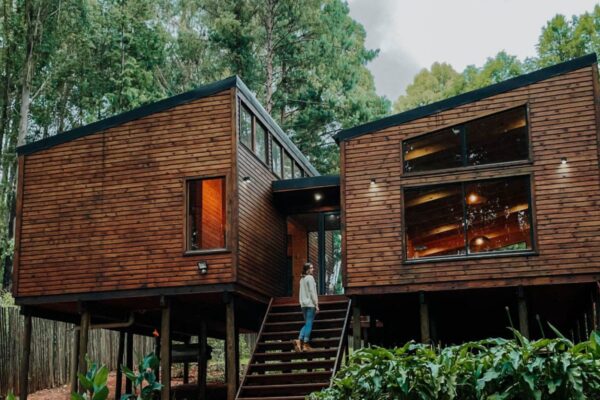 Top Cabin Destinations for Solo Travelers