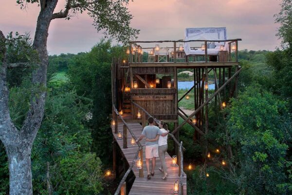 Unique Travel Experiences That Should Be on Your Bucket List